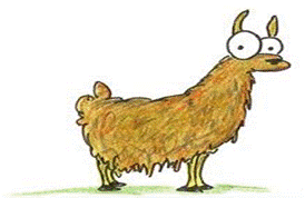 business card llama.png